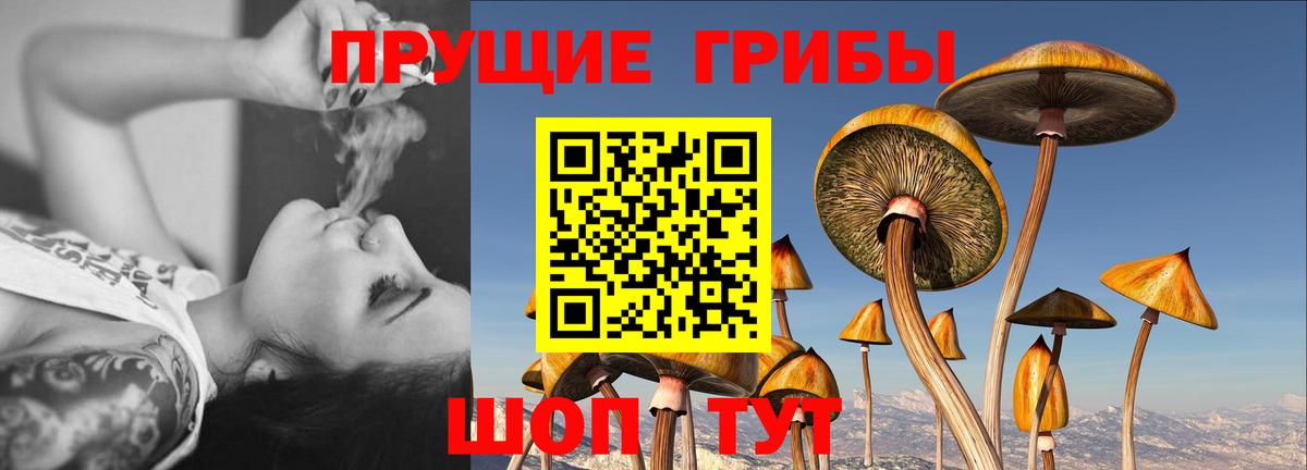 Комсомольск-на-Амуре  Галлюциногенные грибы Psilocybine cubensis  Вход с VPN 